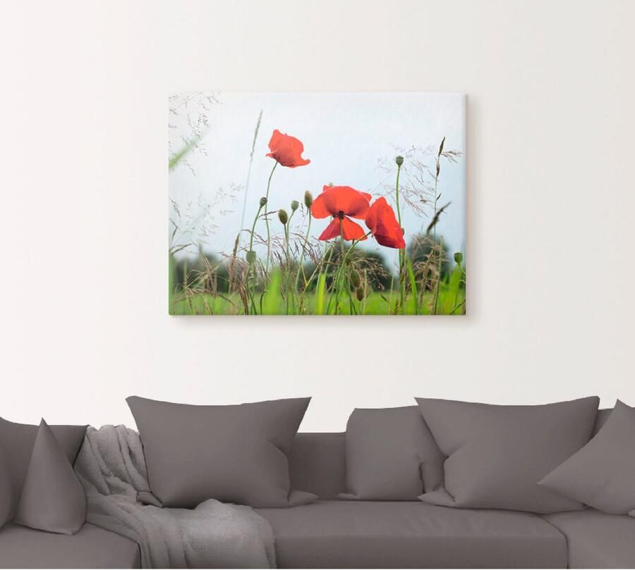 Artland Artprint op linnen Klaprozen I gespannen op een spieraam - Foto 4