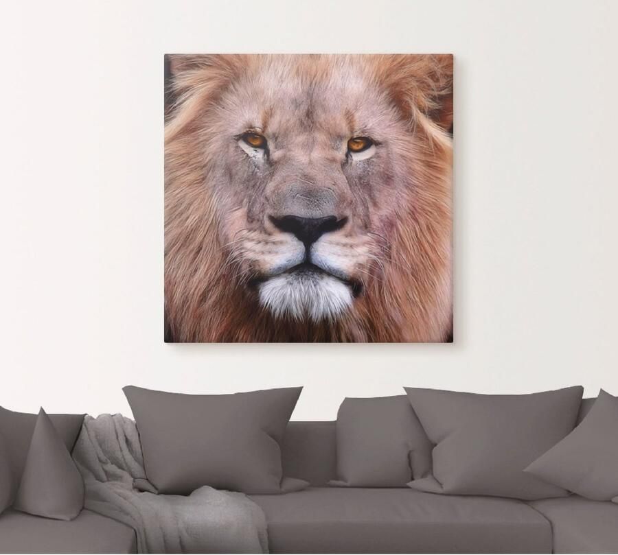 Artland Artprint op linnen Koning van de leeuwen - Foto 5