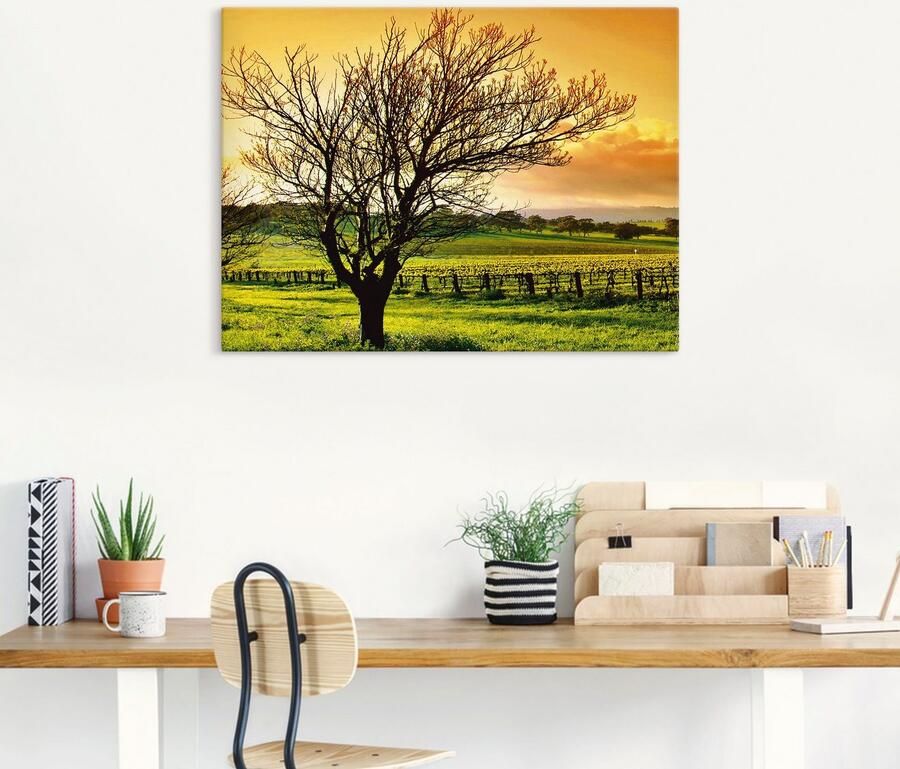 Artland Artprint op linnen Landschap met wijnbergen gespannen op een spieraam - Foto 4