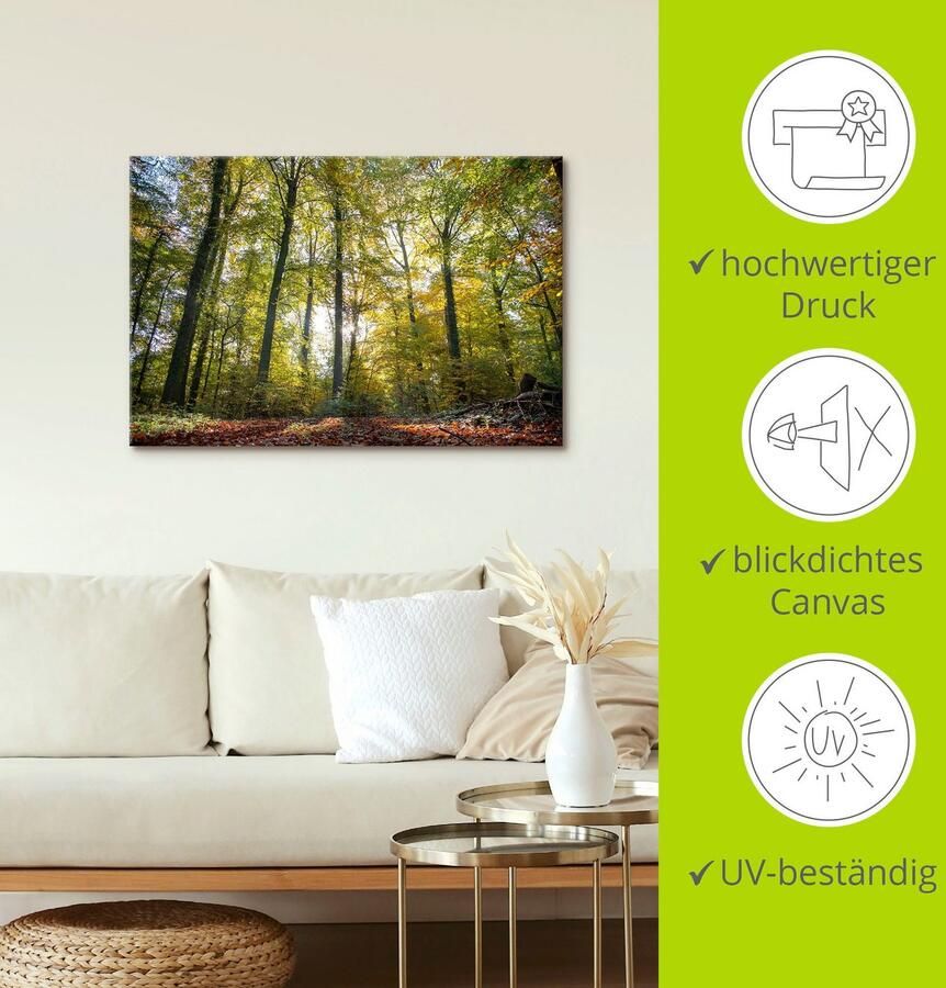 Artland Artprint op linnen Loofbos in de herfst - Foto 3