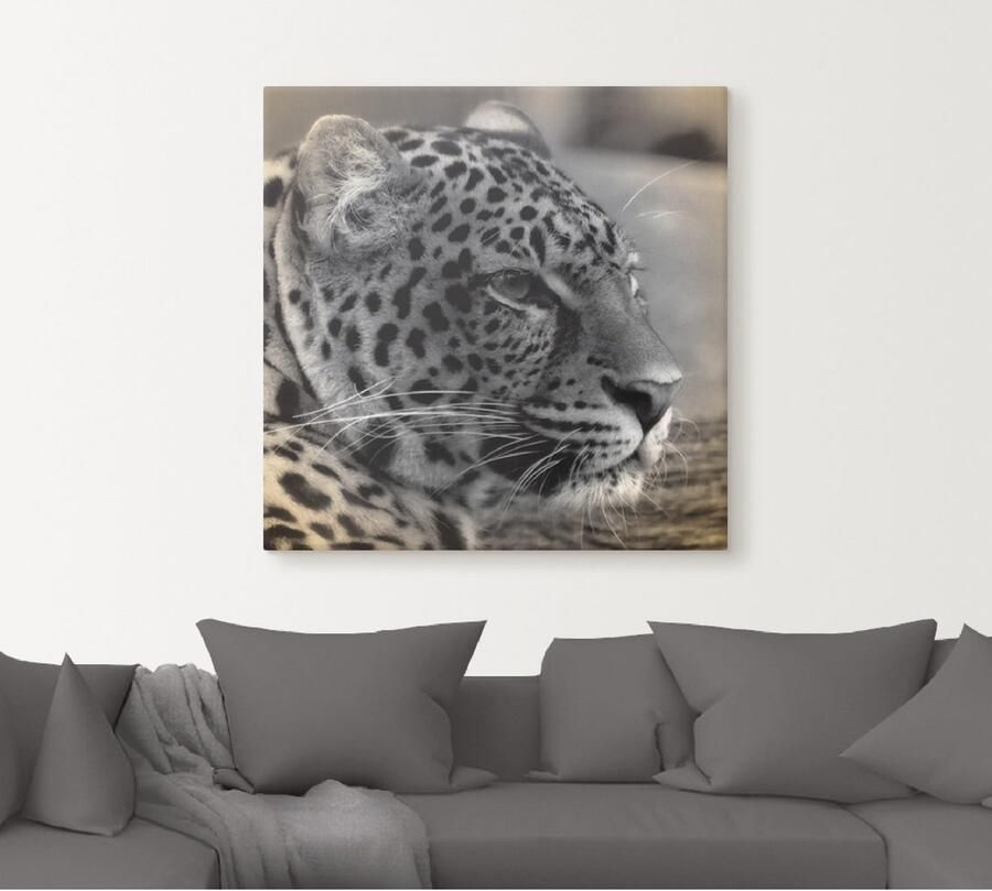 Artland Artprint op linnen Luipaard profiel - Foto 5