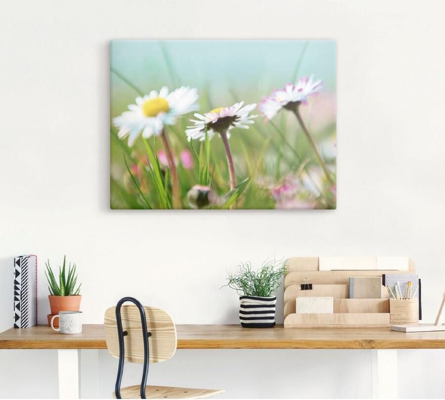 Artland Artprint op linnen Madeliefje romantiek gespannen op een spieraam - Foto 3