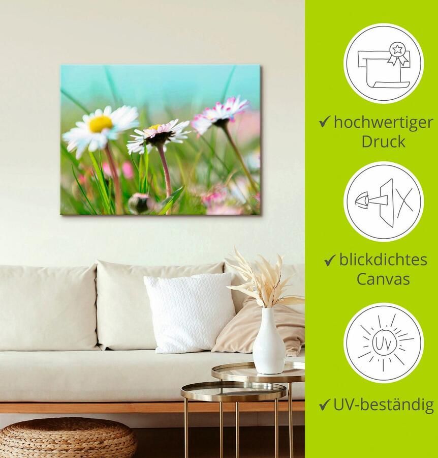 Artland Artprint op linnen Madeliefje romantiek gespannen op een spieraam - Foto 2