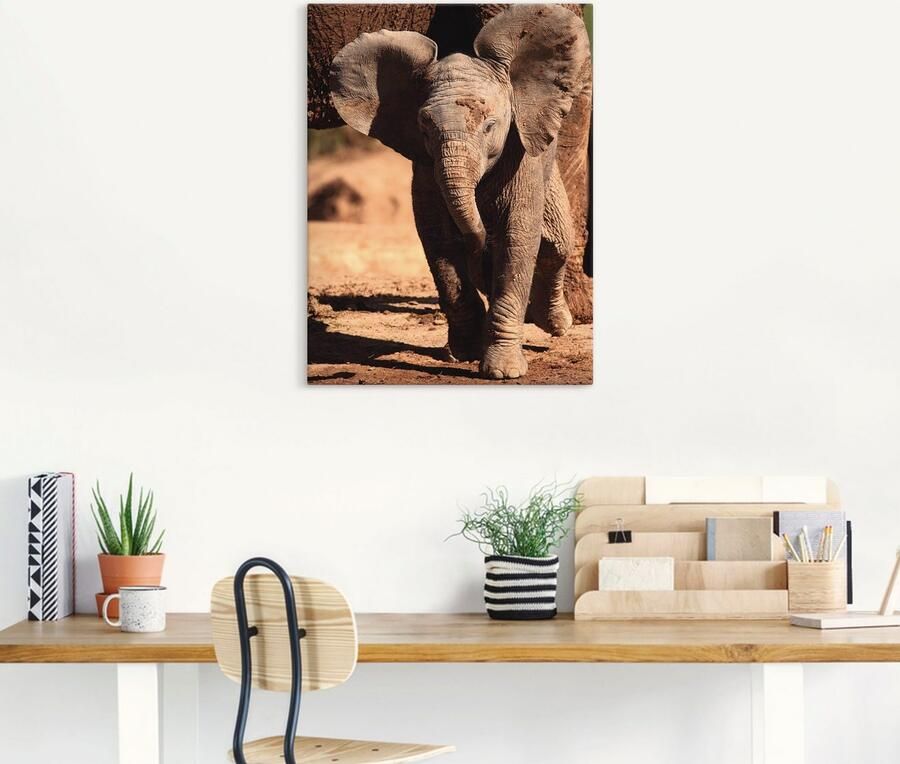 Artland Artprint op linnen Olifantenbaby - Foto 5