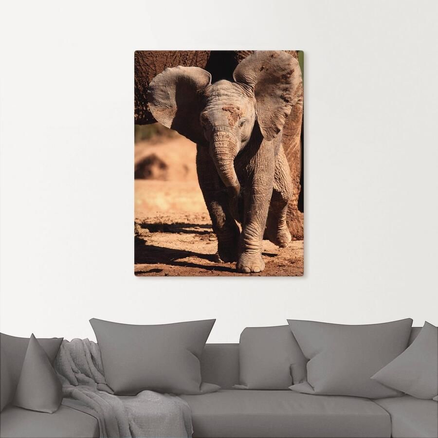 Artland Artprint op linnen Olifantenbaby - Foto 2