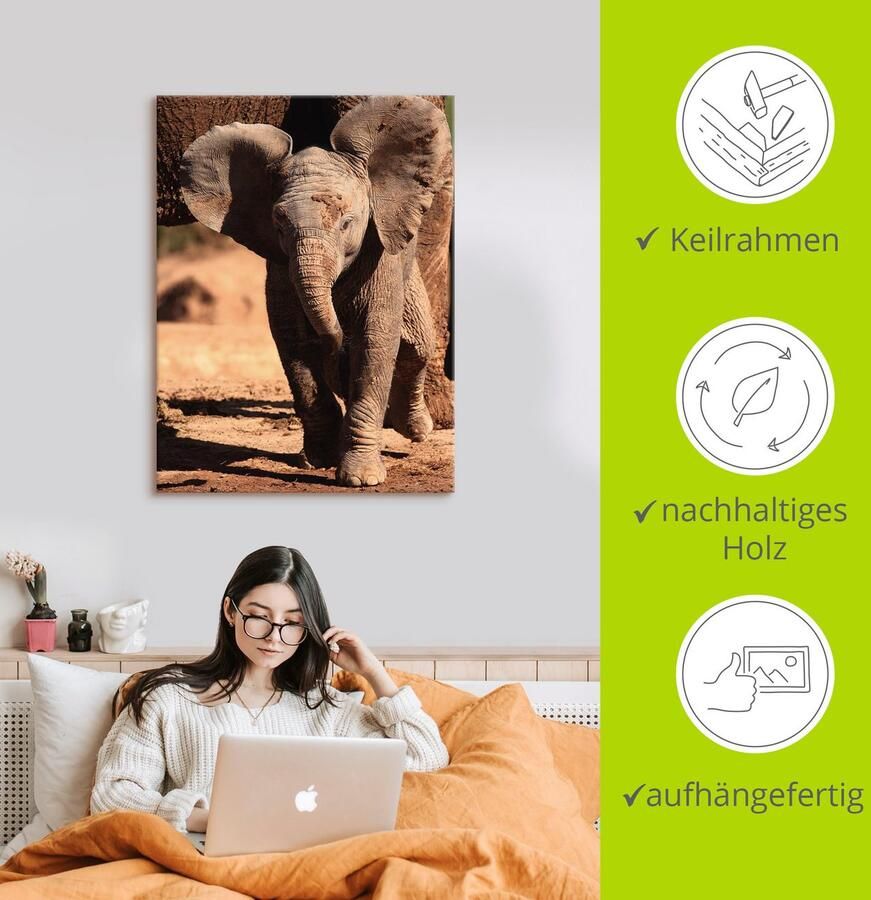 Artland Artprint op linnen Olifantenbaby - Foto 3