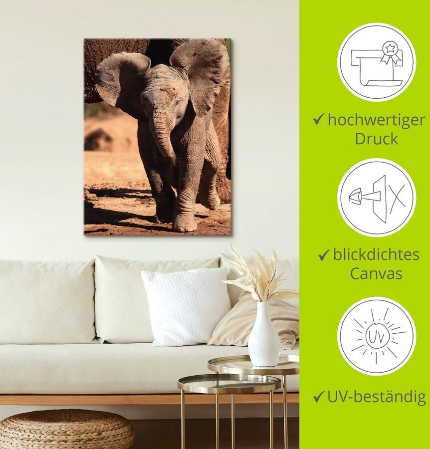 Artland Artprint op linnen Olifantenbaby - Foto 4