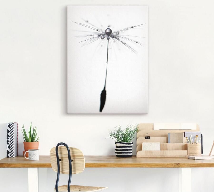 Artland Artprint op linnen Pluizenbol Alone gespannen op een spieraam - Foto 3