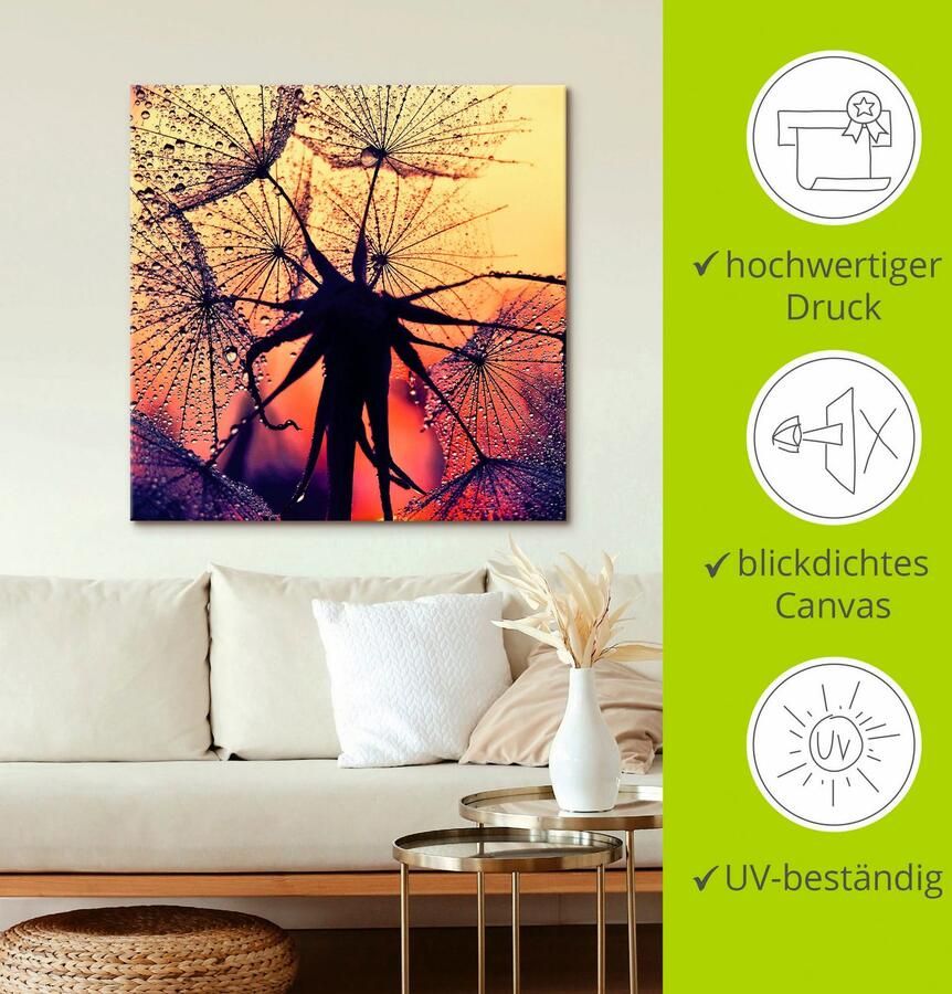 Artland Artprint op linnen Pluizenbol bij zonsondergang - Foto 3