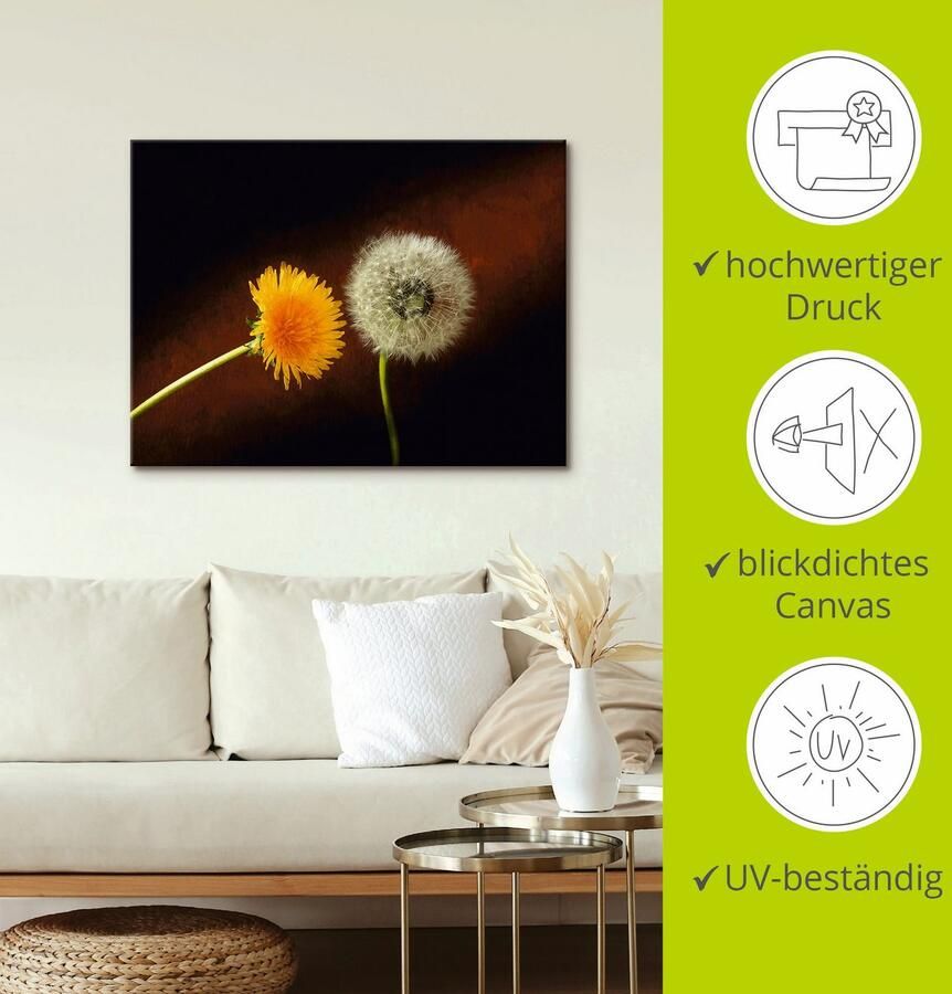 Artland Artprint op linnen Pluizenbol paardenbloem gespannen op een spieraam - Foto 3