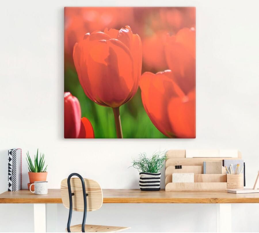 Artland Artprint op linnen Rode tulpen in de zon gespannen op een spieraam - Foto 3