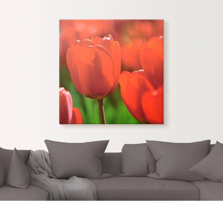 Artland Artprint op linnen Rode tulpen in de zon gespannen op een spieraam - Foto 4