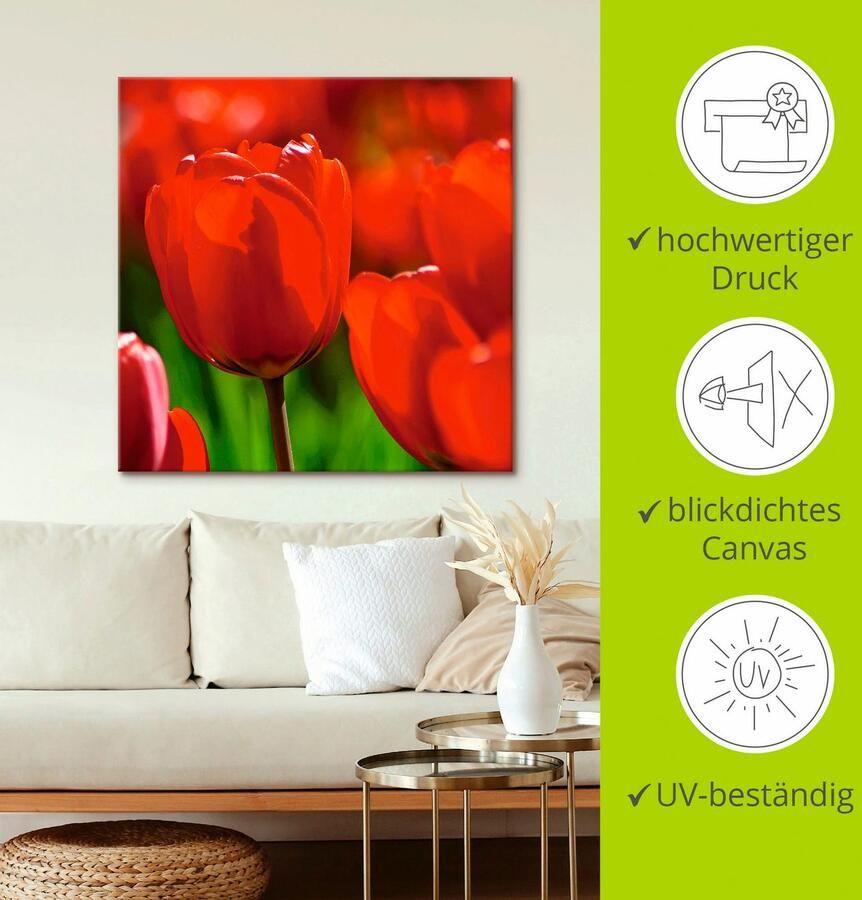 Artland Artprint op linnen Rode tulpen in de zon gespannen op een spieraam - Foto 2
