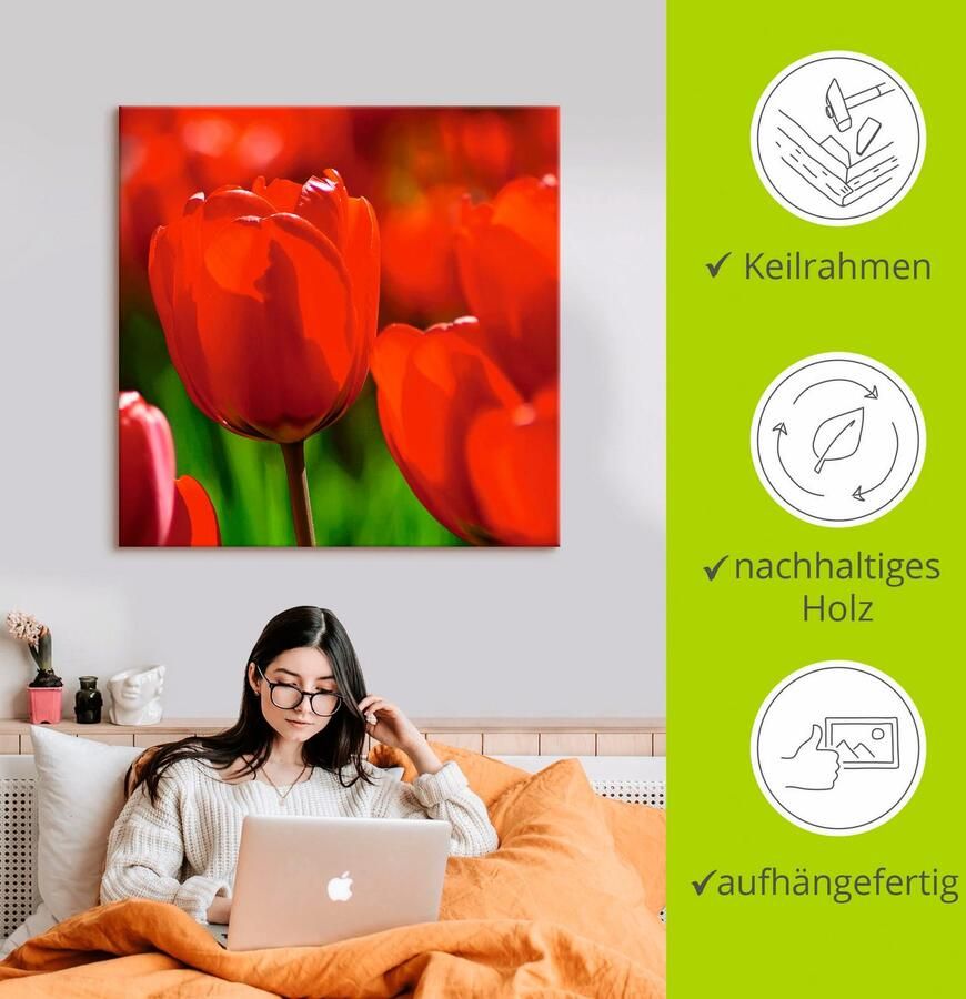 Artland Artprint op linnen Rode tulpen in de zon gespannen op een spieraam