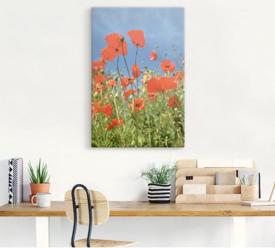 Artland Artprint op linnen Veld met rode klaproos gespannen op een spieraam - Foto 3
