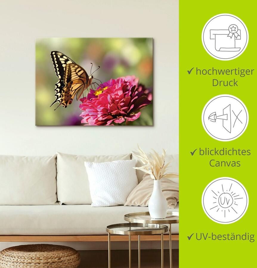 Artland Artprint op linnen Vlinder gespannen op een spieraam - Foto 3