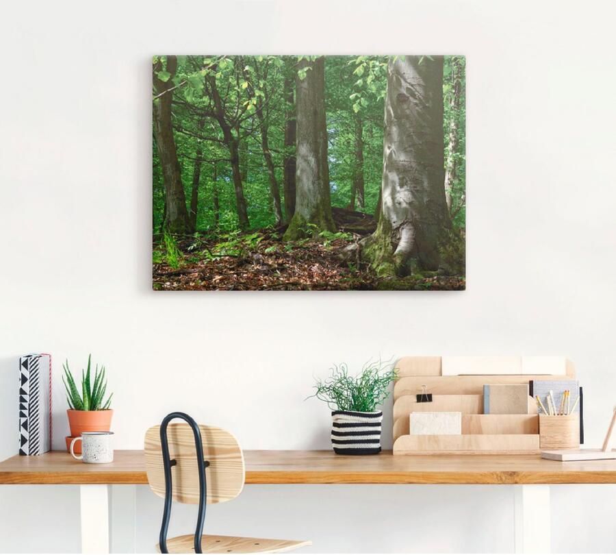 Artland Artprint op linnen Voorjaar in beukenbos gespannen op een spieraam - Foto 3