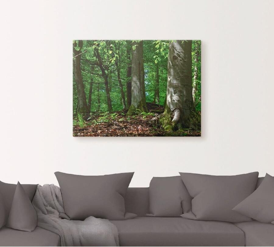 Artland Artprint op linnen Voorjaar in beukenbos gespannen op een spieraam - Foto 4