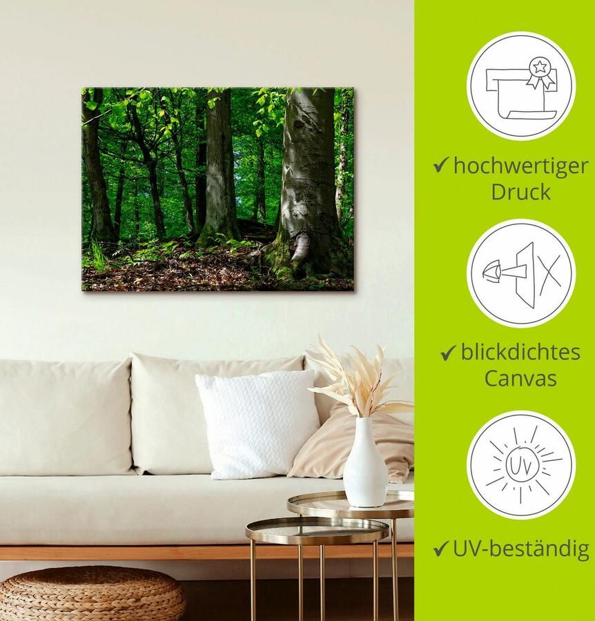 Artland Artprint op linnen Voorjaar in beukenbos gespannen op een spieraam - Foto 2