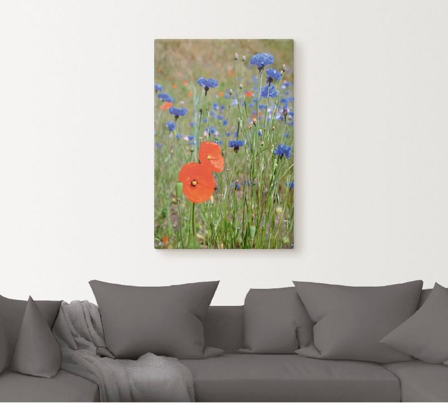 Artland Artprint op linnen Weide met klaprozen en korenbloemen - Foto 5