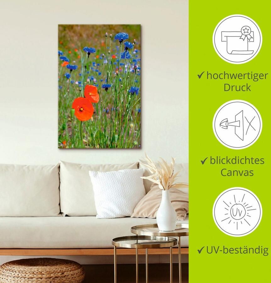 Artland Artprint op linnen Weide met klaprozen en korenbloemen - Foto 2