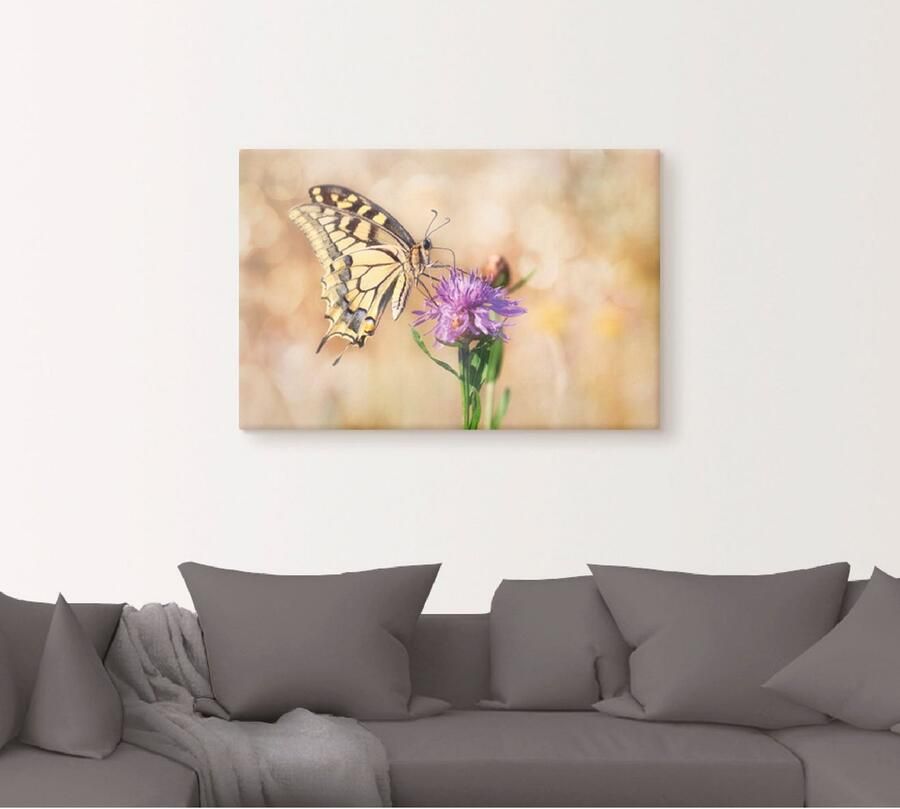 Artland Artprint op linnen Zwaluwstaart vlinder gespannen op een spieraam - Foto 4