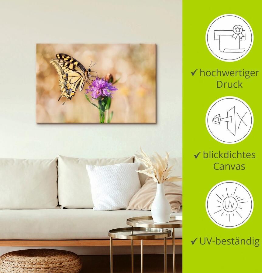 Artland Artprint op linnen Zwaluwstaart vlinder gespannen op een spieraam - Foto 2