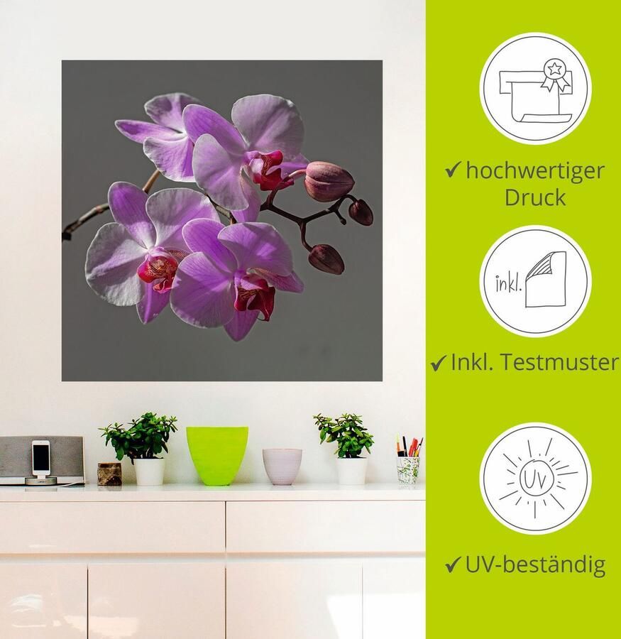Artland Artprint Orchideeën Droom als artprint op linnen muursticker in verschillende maten - Foto 2