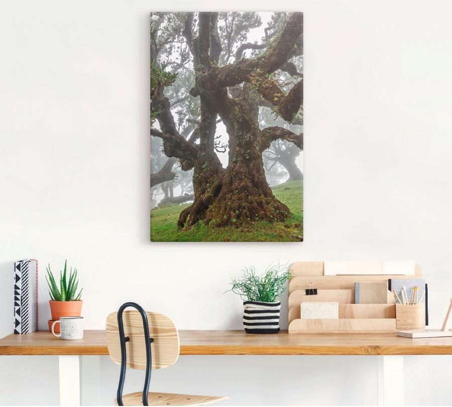 Artland Artprint Oude laurierboom als artprint op linnen poster in verschillende formaten maten - Foto 3