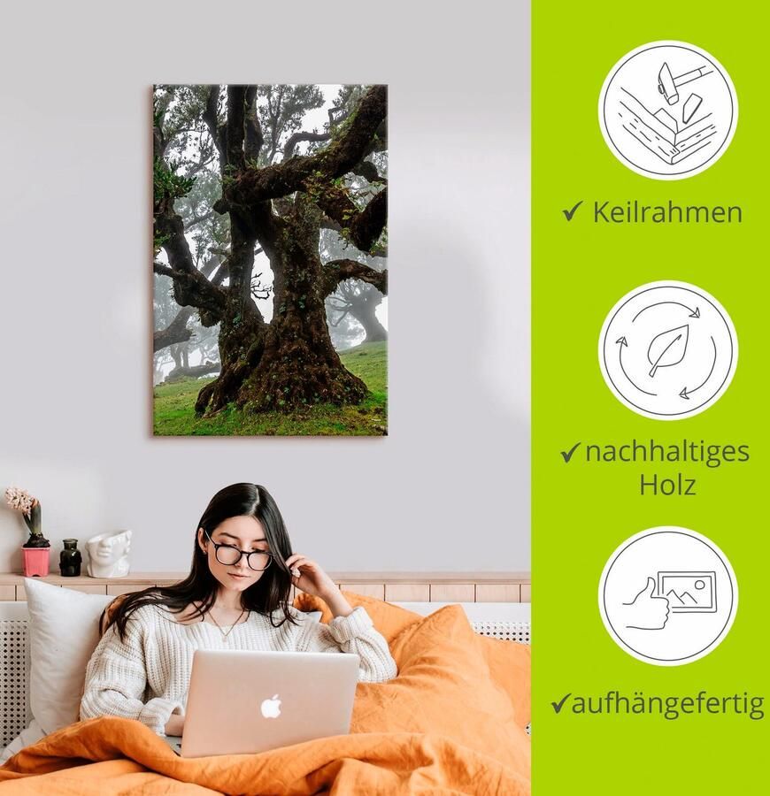 Artland Artprint Oude laurierboom als artprint op linnen poster in verschillende formaten maten