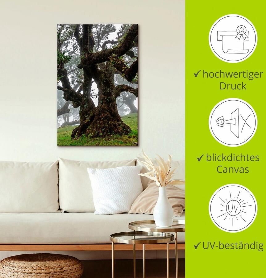 Artland Artprint Oude laurierboom als artprint op linnen poster in verschillende formaten maten - Foto 2