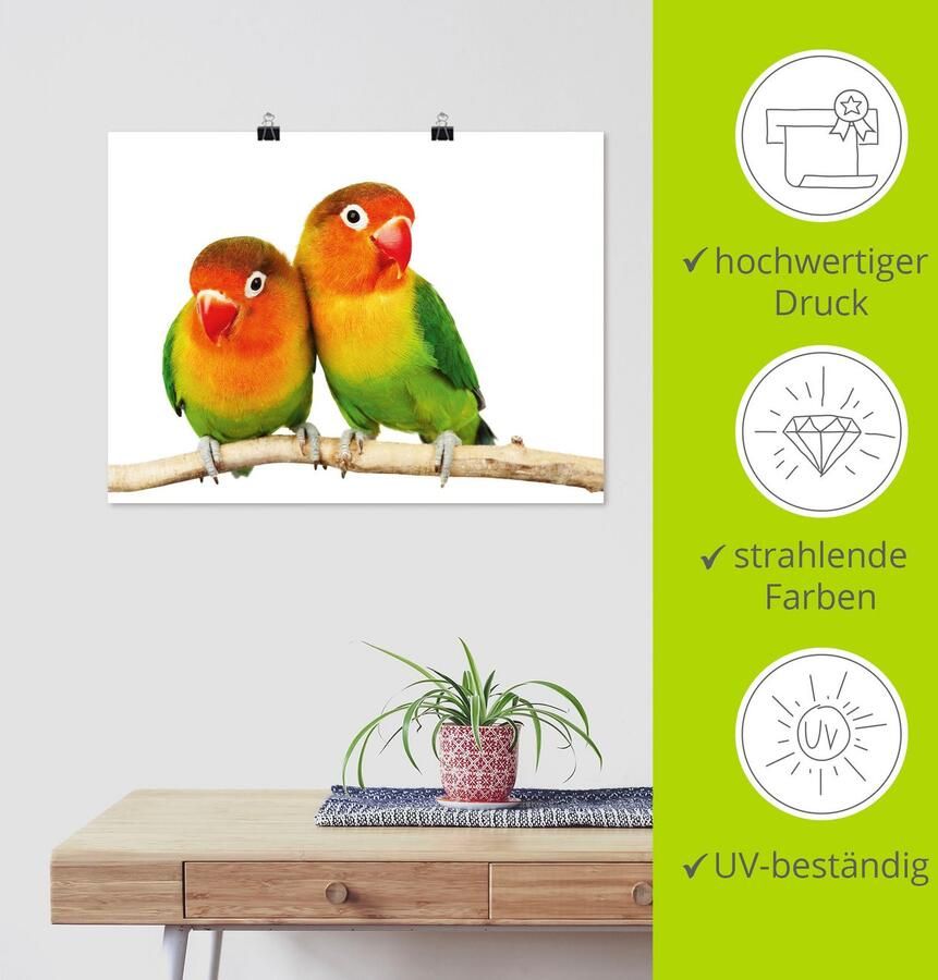 Artland Artprint Paar grijskop papegaaien als artprint op linnen poster muursticker in verschillende maten - Foto 3