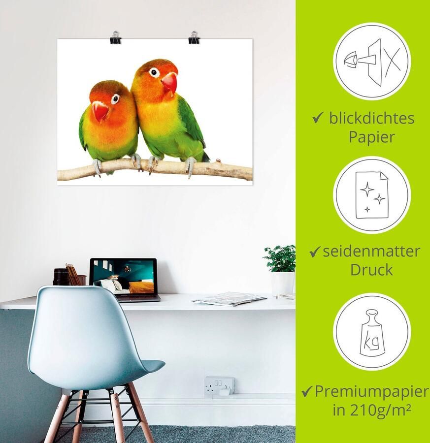 Artland Artprint Paar grijskop papegaaien als artprint op linnen poster muursticker in verschillende maten - Foto 4