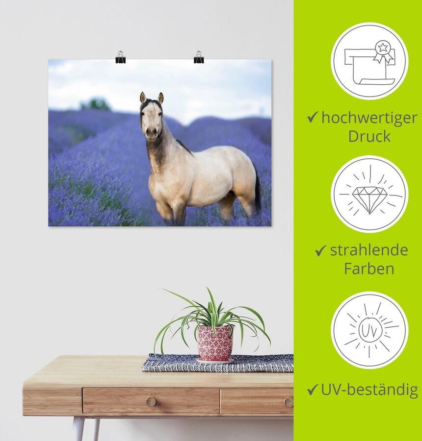 Artland Artprint Paard en bloemen III als artprint op linnen poster in verschillende formaten maten - Foto 3