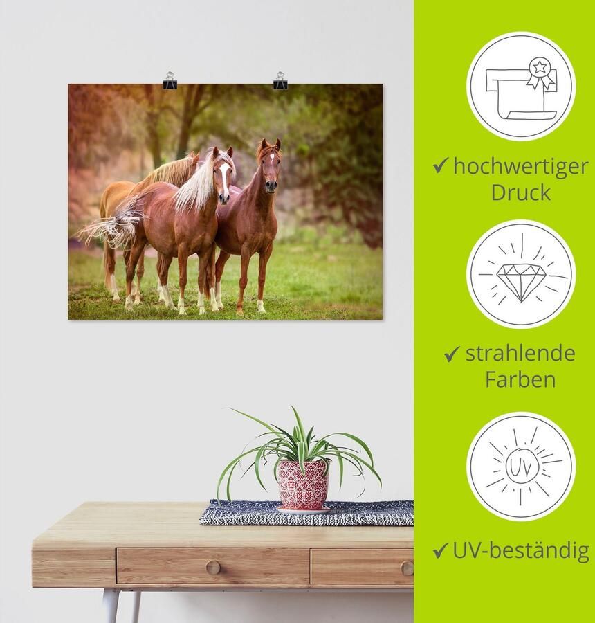 Artland Artprint Paarden in de velden I als artprint op linnen poster muursticker in verschillende maten - Foto 3