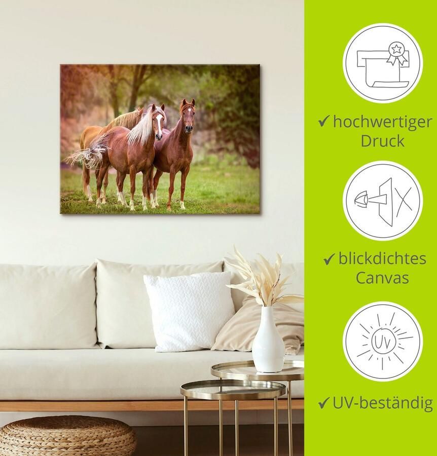 Artland Artprint Paarden in de velden I als artprint op linnen poster muursticker in verschillende maten - Foto 2