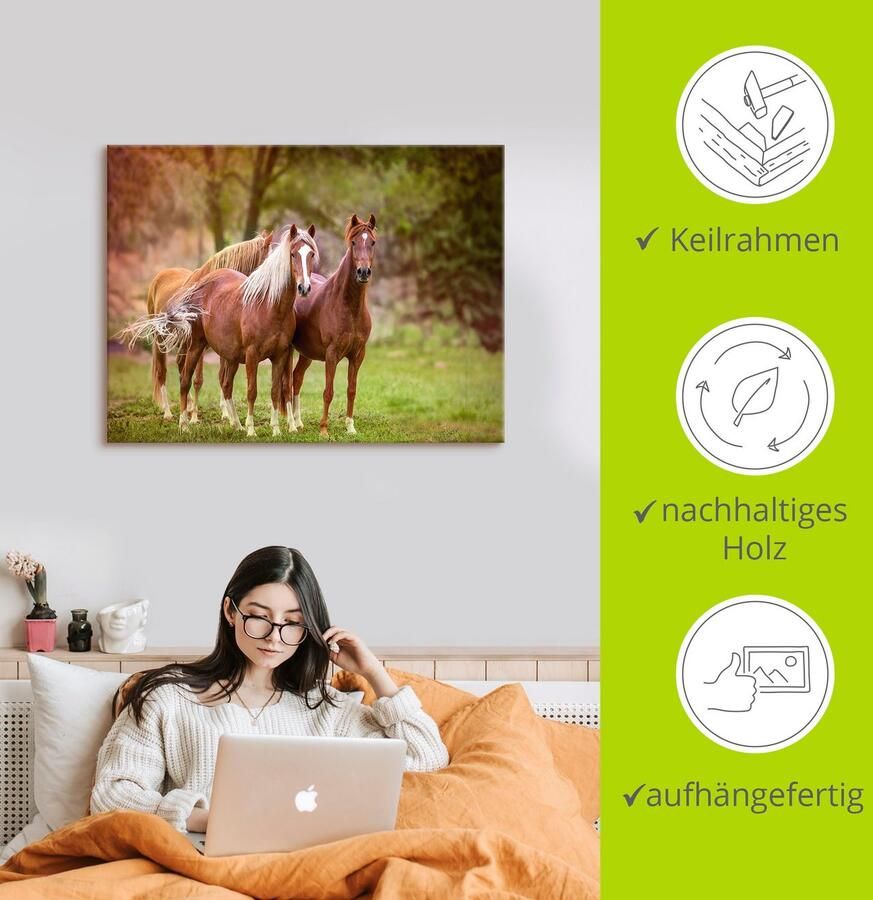 Artland Artprint Paarden in de velden I als artprint op linnen poster muursticker in verschillende maten