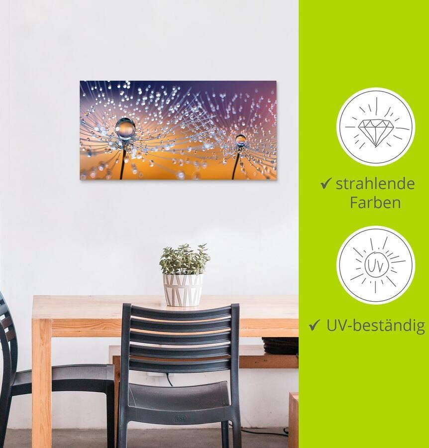 Artland Artprint Paardenbloemen dauwdruppel als artprint van aluminium artprint voor buiten artprint op linnen poster muursticker - Foto 3