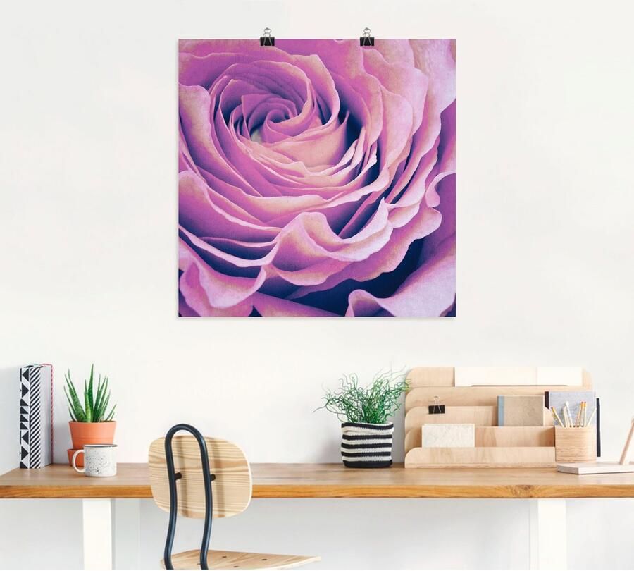 Artland Artprint Paars Roos als artprint op linnen poster in verschillende formaten maten - Foto 4