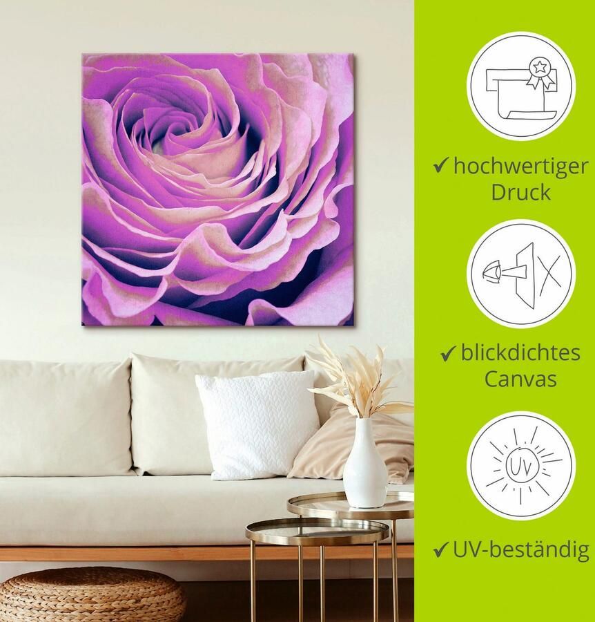 Artland Artprint Paars Roos als artprint op linnen poster in verschillende formaten maten - Foto 2