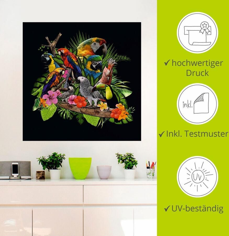 Artland Artprint Papegaaien Grijze Papegaai Kaketoe Jungle als artprint van aluminium artprint voor buiten artprint op linnen poster muursticker - Foto 3