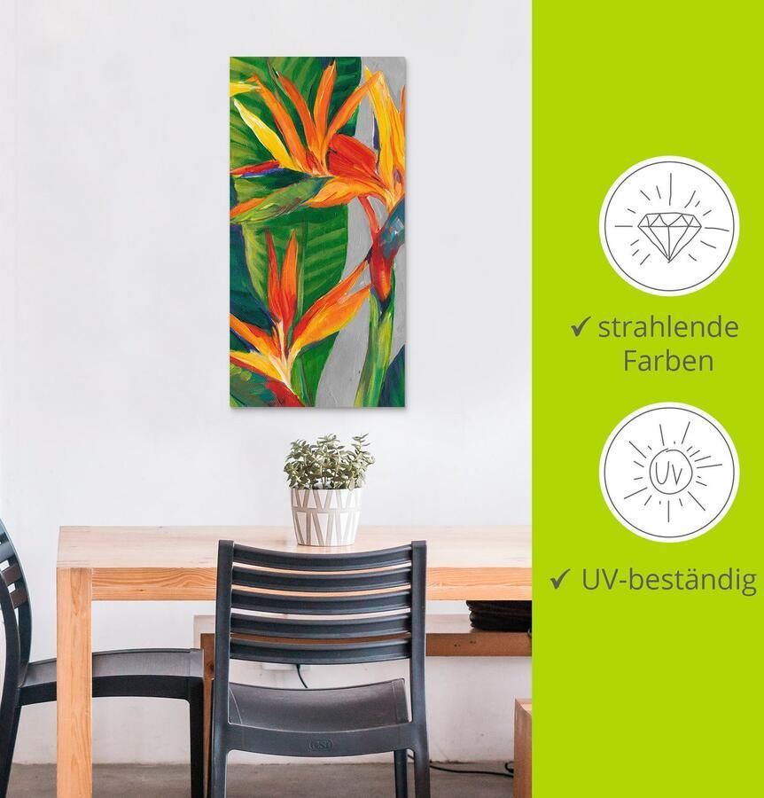 Artland Artprint Paradijsvogel II als artprint van aluminium artprint voor buiten artprint op linnen poster in verschillende maten. maten - Foto 2