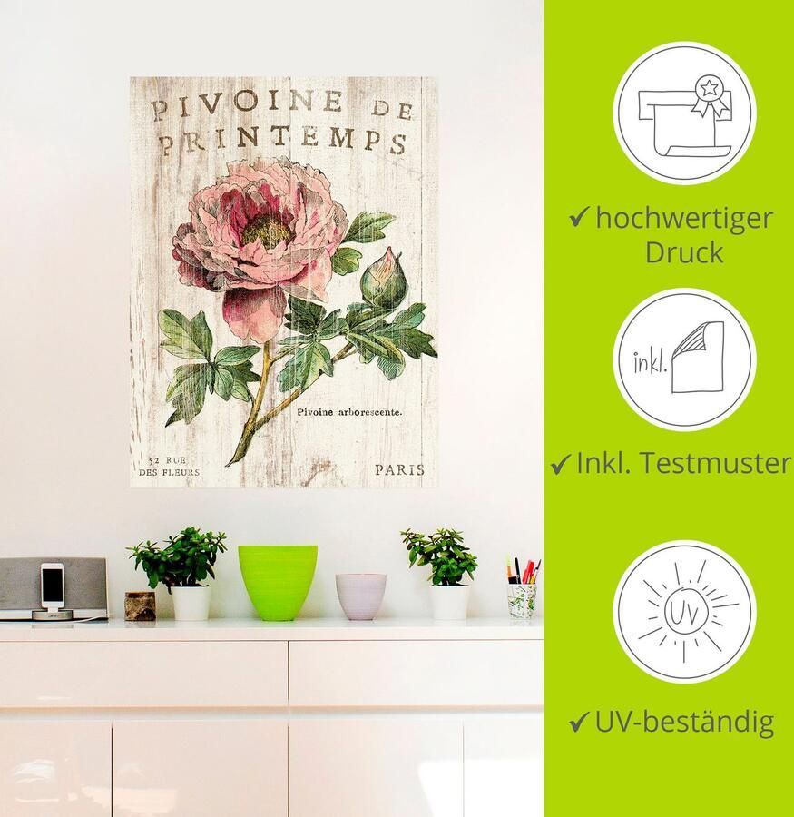 Artland Artprint PIOENROOS als artprint op linnen poster muursticker in verschillende maten - Foto 2