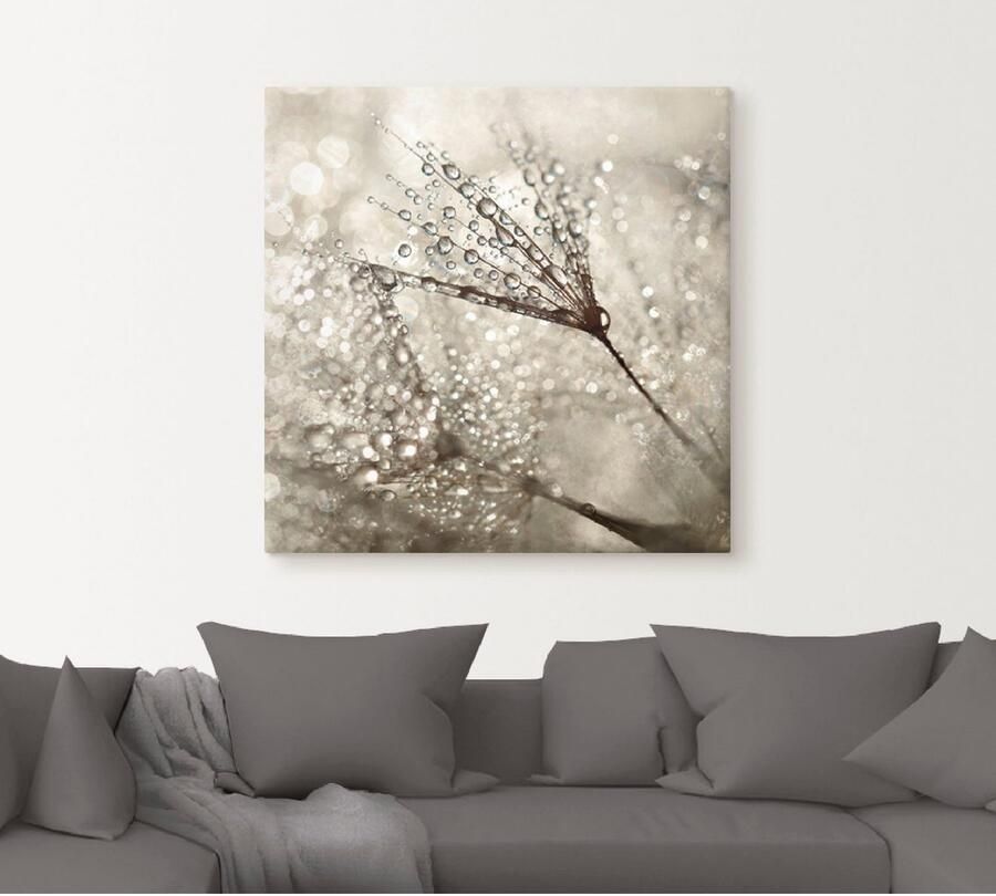 Artland Artprint Pluizenbol dauwdruppel als artprint van aluminium artprint voor buiten artprint op linnen poster muursticker - Foto 4