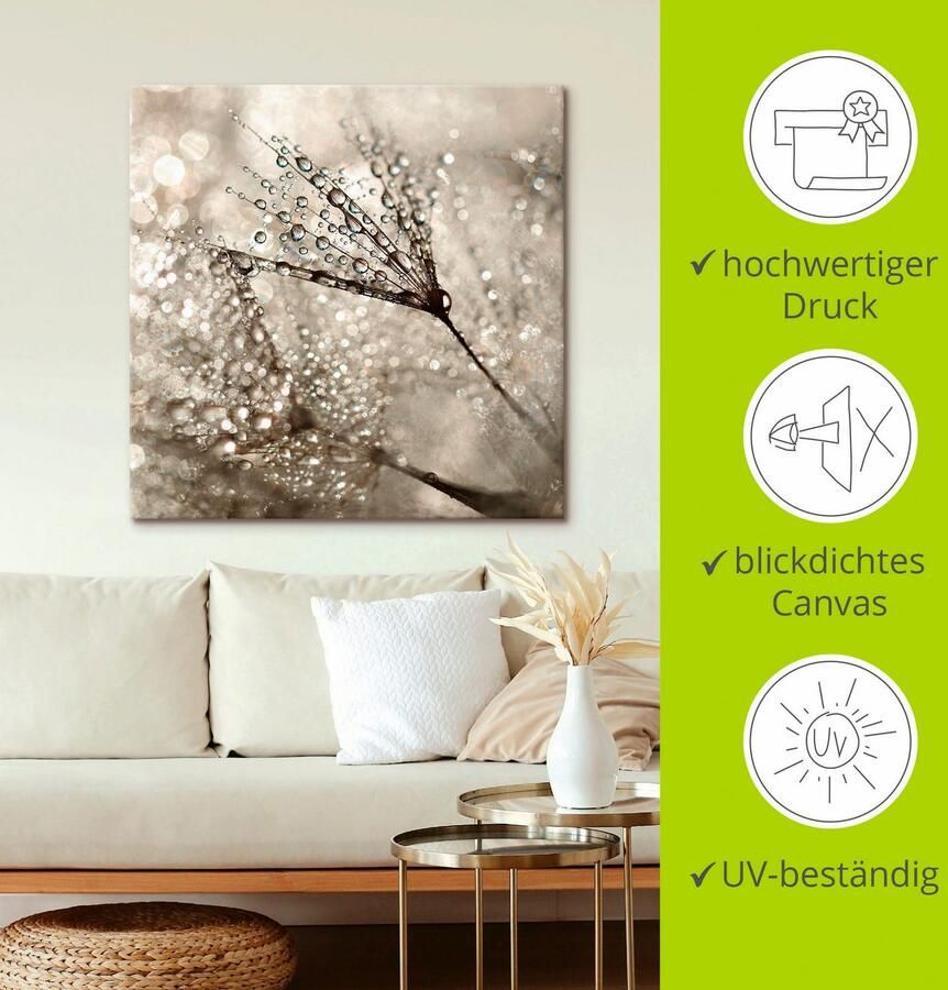 Artland Artprint Pluizenbol dauwdruppel als artprint van aluminium artprint voor buiten artprint op linnen poster muursticker - Foto 3