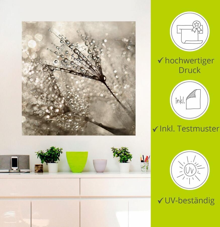 Artland Artprint Pluizenbol dauwdruppel als artprint van aluminium artprint voor buiten artprint op linnen poster muursticker - Foto 3
