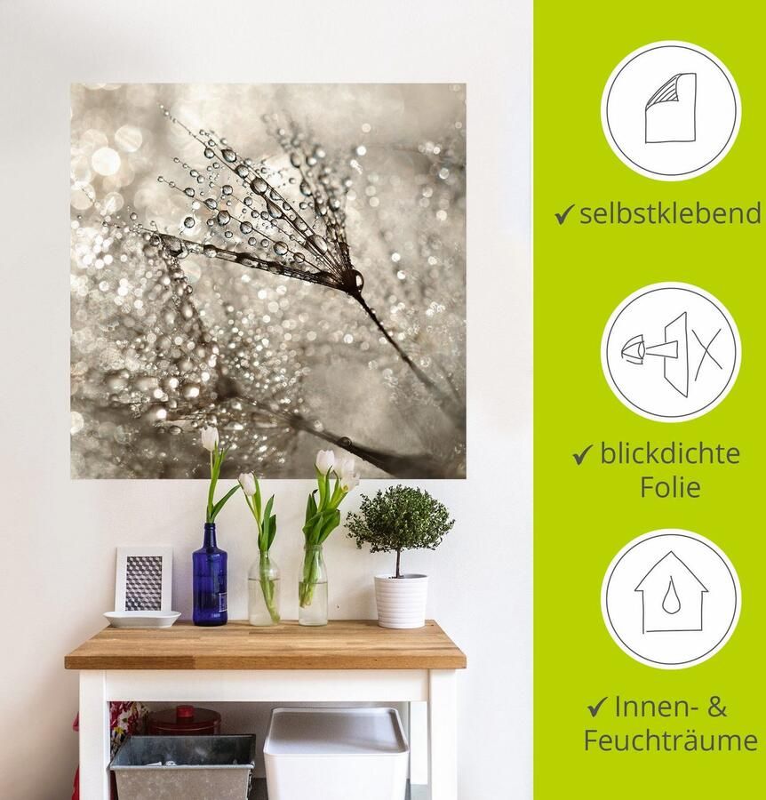 Artland Artprint Pluizenbol dauwdruppel als artprint van aluminium artprint voor buiten artprint op linnen poster muursticker - Foto 4