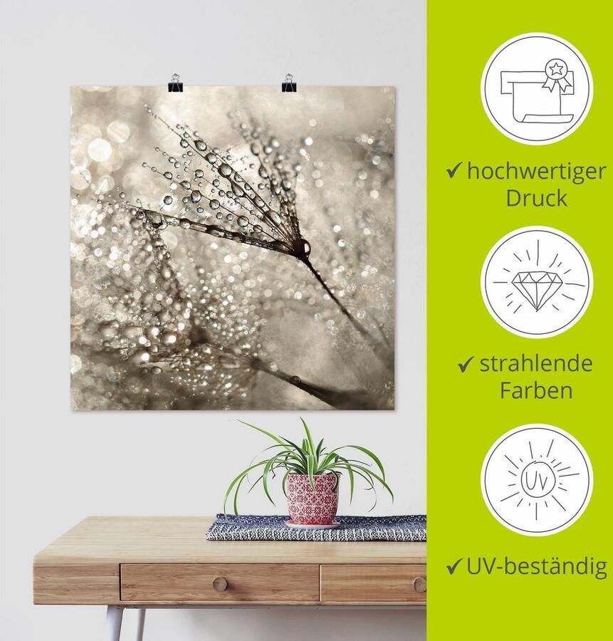 Artland Artprint Pluizenbol dauwdruppel als artprint van aluminium artprint voor buiten artprint op linnen poster muursticker - Foto 3