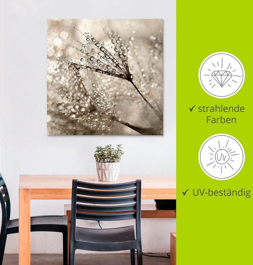 Artland Artprint Pluizenbol dauwdruppel als artprint van aluminium artprint voor buiten artprint op linnen poster muursticker - Foto 2