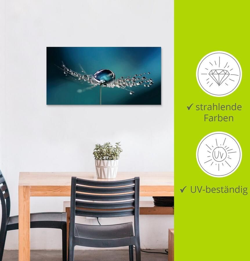 Artland Artprint Pluizenbol dauwdruppel blauw als artprint van aluminium artprint voor buiten artprint op linnen in verschillende maten - Foto 4